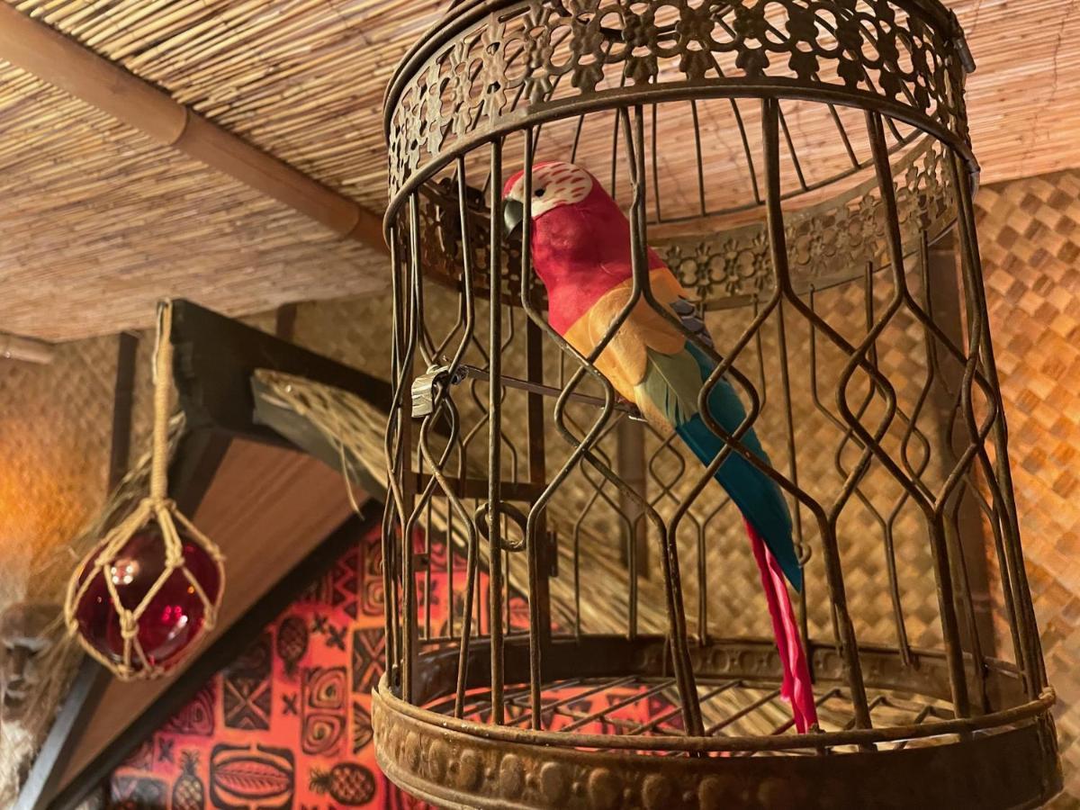 تامبا The Kondo Tiki المظهر الخارجي الصورة