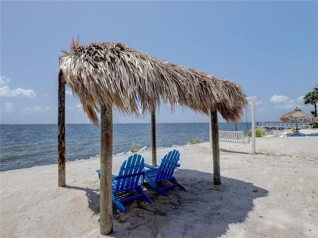تامبا The Kondo Tiki المظهر الخارجي الصورة