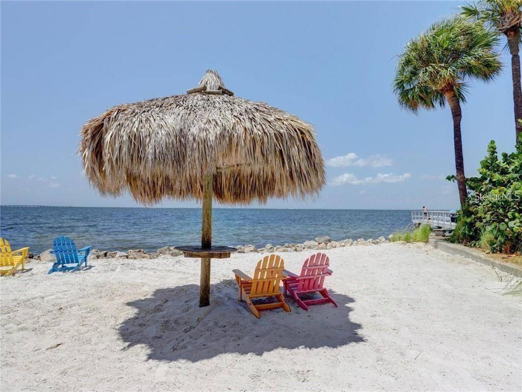 تامبا The Kondo Tiki المظهر الخارجي الصورة