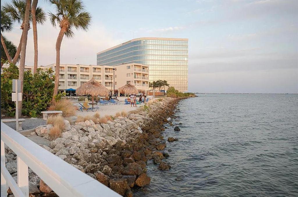 تامبا The Kondo Tiki المظهر الخارجي الصورة
