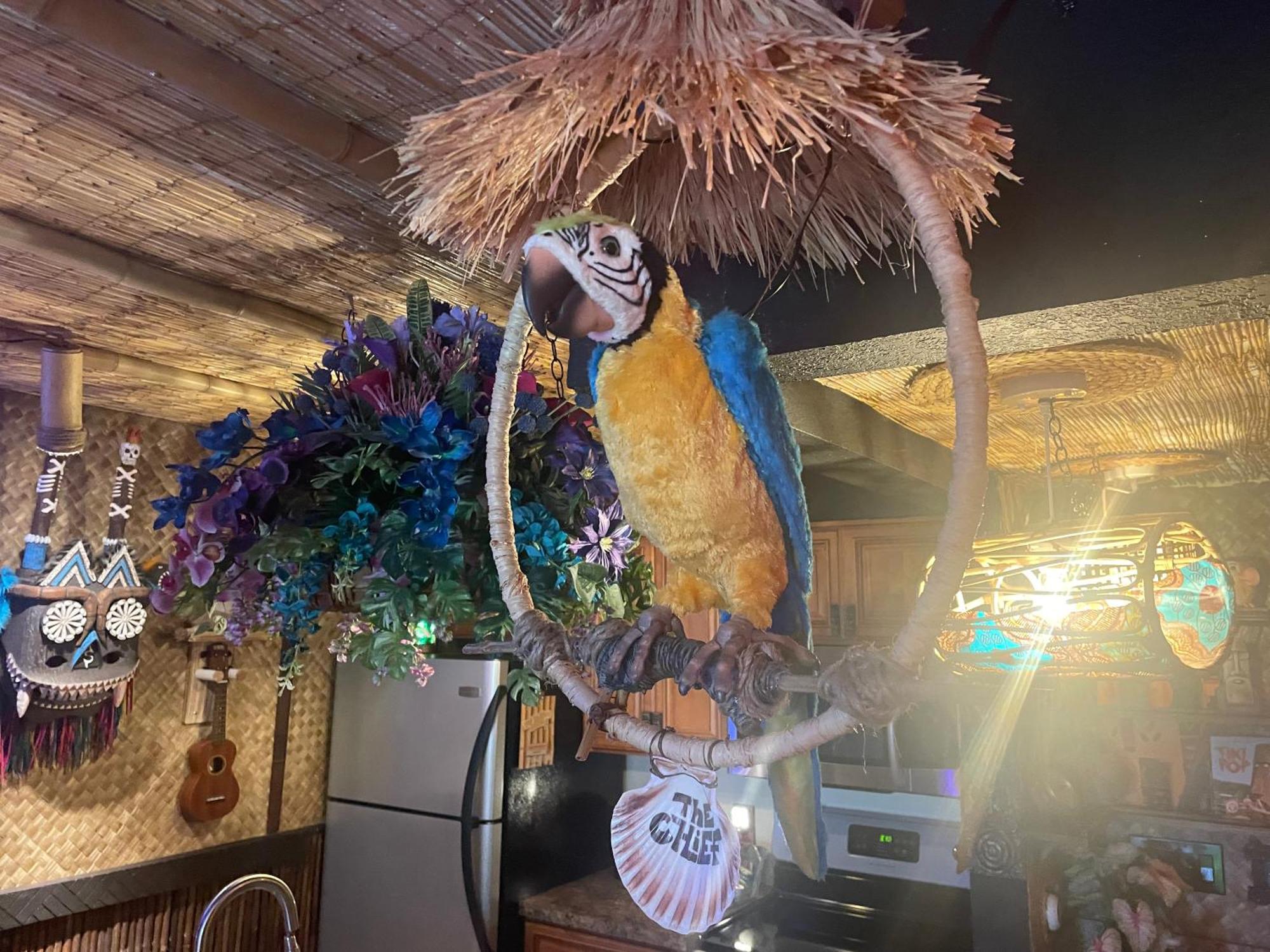 تامبا The Kondo Tiki المظهر الخارجي الصورة